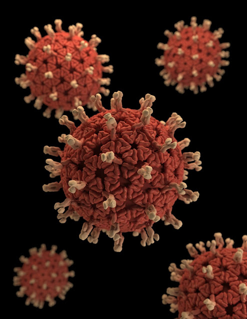 coronavirus case, coronavirus active patient, covid-19, coronavirus