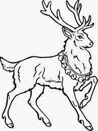 6 Christmas Reindeer Coloring Pages For Kids