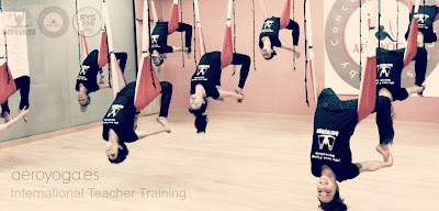 aerial yoga teacher training