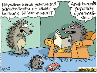Sanaözelblog