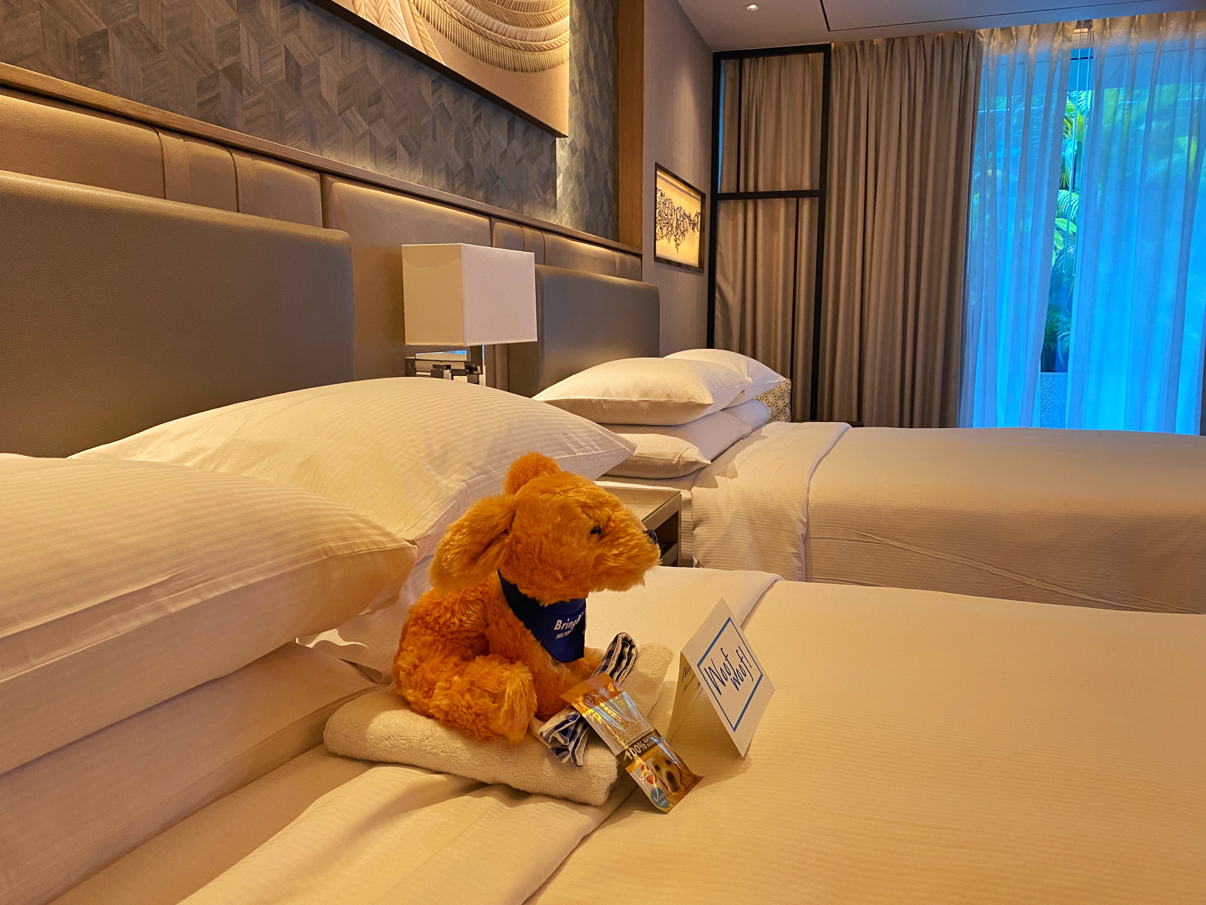 hilton manila's pet friendly rooms