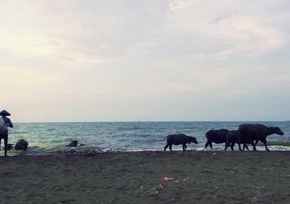 Keindahan Wisata Pantai Kuripan Di Batang Jawa Tengah Ihategreenjello