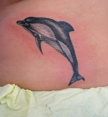 Dolphin Tattoo Pictures