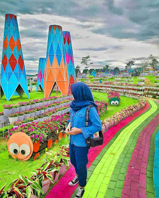 Taman Bunga Celosia