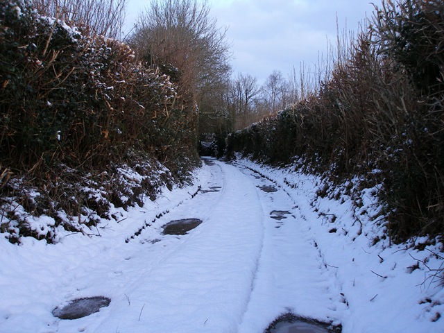 31st_january_2010
