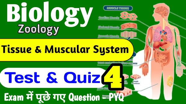 Muscular System and Tissue Test & Quiz
