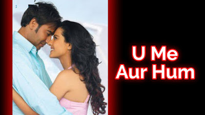 U Me Aur Hum film budget, U Me Aur Hum film collection