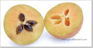 sapodilla