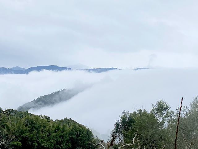 沿途雲海