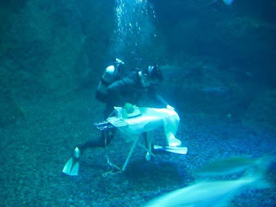 Extreme Ironing