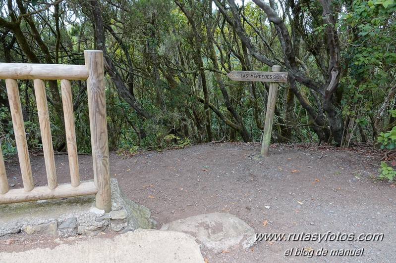 Sendero de los Sentidos - Sendero de los Enigmas