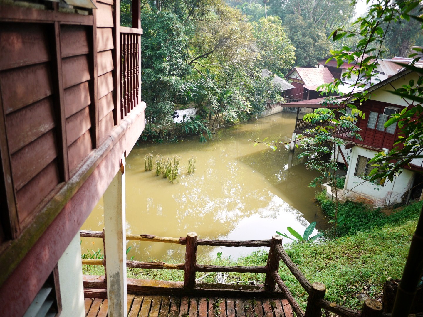 Sumijellymanis: Serendah SiKebun Bunga