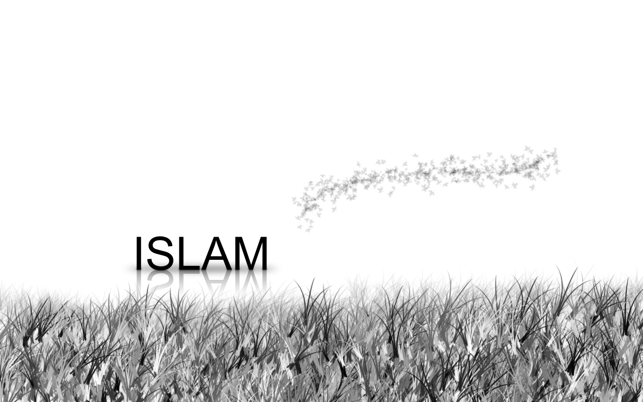 Black and White Islam