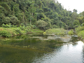 Unnamed Road, Tambon Lam Kaen, Amphoe Thai Mueang, Chang Wat Phang-nga 82210