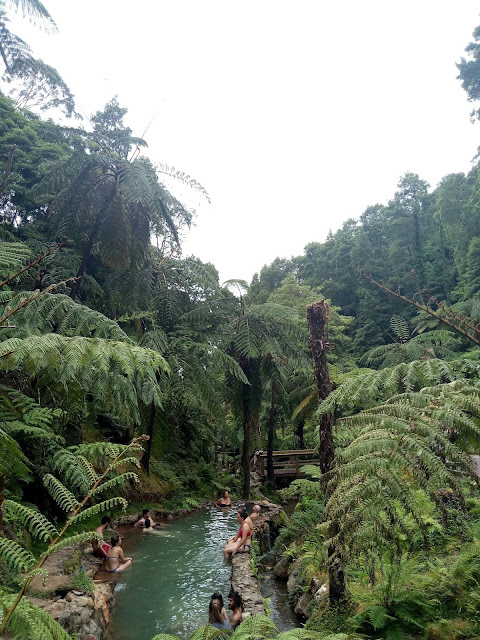 Jurassic World looking environment around one of the thermal baths on the Island of Sao Miguel - Azores