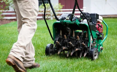 lawn aeration cost, aeration cost, lawn aeration service cost, cost to aerate and overseed lawn, aeration and overseeding cost, cost to aerate lawn, how much does aeration cost, how much to rent an aerator, core aeration cost, trugreen aeration and seeding cost, trugreen lawn aeration cost, yard aeration cost, lawn aeration and overseeding cost, aerate and overseed cost, cost of lawn aeration, aeration prices, cost to aerate and seed lawn, aeration and seeding prices, lawn care cost per acre, aerates, lowes com lawn care, local lawn aeration service, lawn doctor near me, diy lawn core aerator, average cost for lawn care service, lawn service prices per acre,