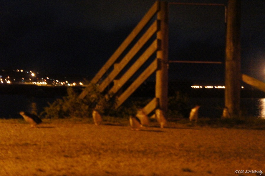 DSC01759