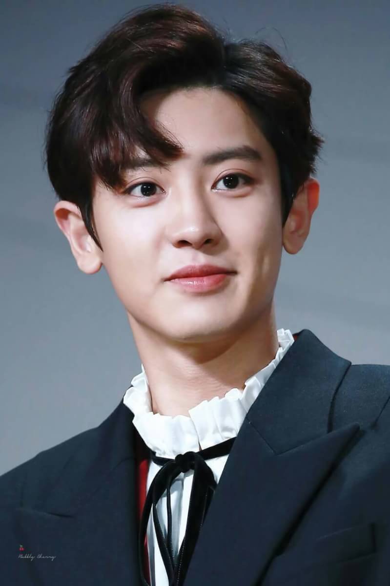 BIODATA DAN PROFIL LENGKAP MEMBER EXO Januari 2022