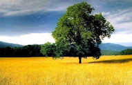 42+ Background Pemandangan Besar