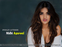 nidhi agarwal hot, nidhi agarwal, indian hindi telugu film actress nidhi agarwal latest exclusive hot and sexy face picture