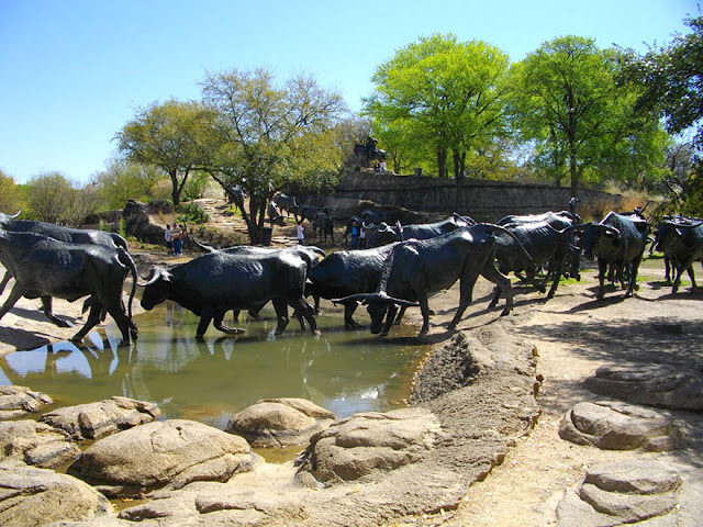 Cattle Drive, Dallas, Texas, USA