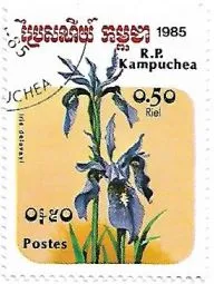 Selo Iris delavayi