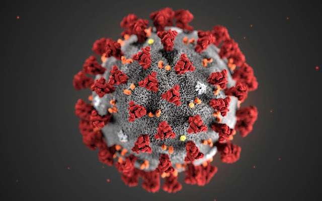 coronavirus