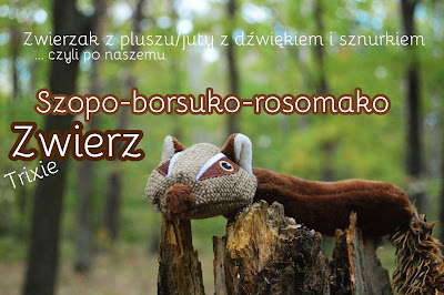 http://poprostuzuzia.blogspot.com/2015/10/gopro-recenzja-szopo-borsuko-rosomako.html