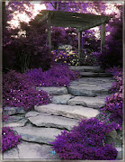 Purple garden. I want a garden like thisNOWpretty please! (purple garden by phudak )