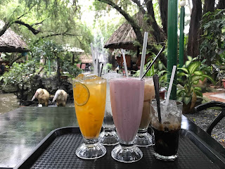 Cafe tình nhân kín đáo Thủ Đức Thành phố Hồ Chí Minh