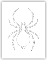 spider free hand embroidery pattern