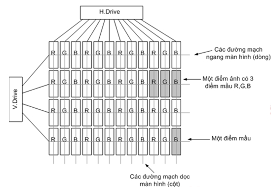 Các điểm mầu trên màn hình được xếp xen kẽ theo phương ngang là RGB còn theo phương dọc là RRR hoặc GGG hoặc BBB