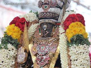 Kodai Utsavam, Tholukiniyaan, Purappadu,Video, Divya Prabhandam,Sri Parthasarathy Perumal, Triplicane,Thiruvallikeni,Utsavam,