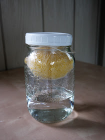homemade limoncello