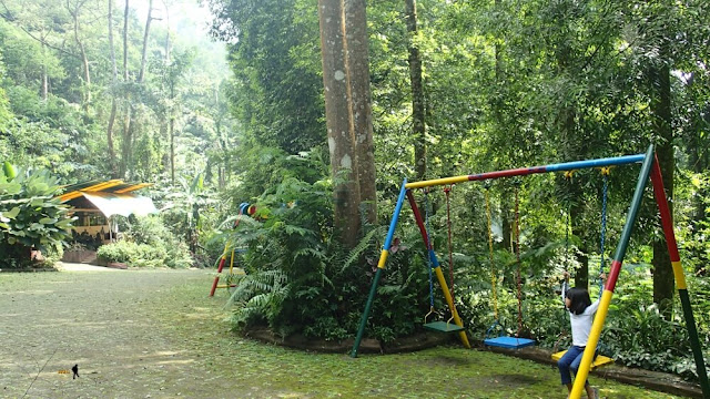 pagi hari di safari lodge caravan taman safari indonesia