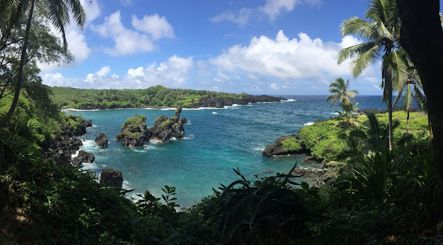 colorful ocean panorama Maui Hawaii