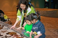 IMG_2993