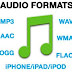 صيغة أو امتداد ملف صوت  MP3,WAV ,AAC,WMA,OGG,FLAC,WAV,AIFF