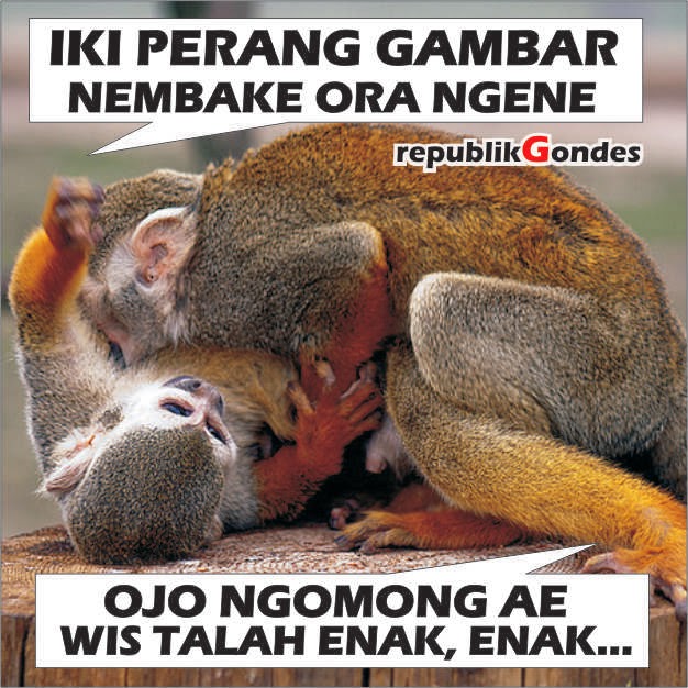 Komen FB Lucu Bergambar Bahasa Jawa  Cerita Humor Lucu Kocak Gokil Terbaru ala Indonesia
