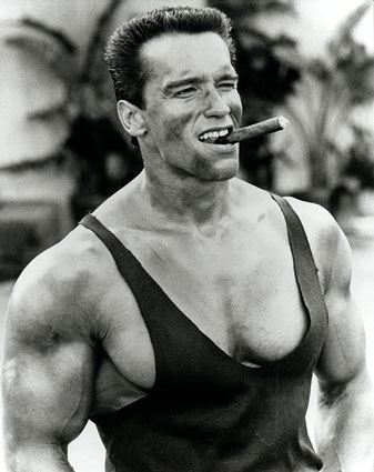 arnold schwarzenegger photos 2010. arnold schwarzenegger