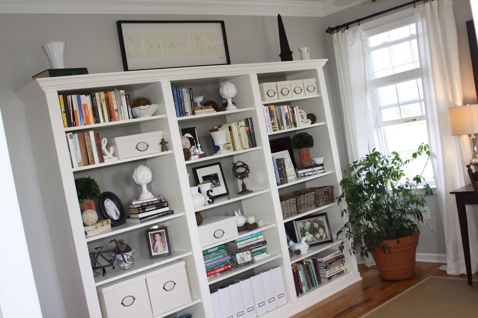 Reinventing Eden: From Ikea Billy Bookcase to Built-in Gorgeousness