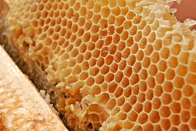 Honeycomb