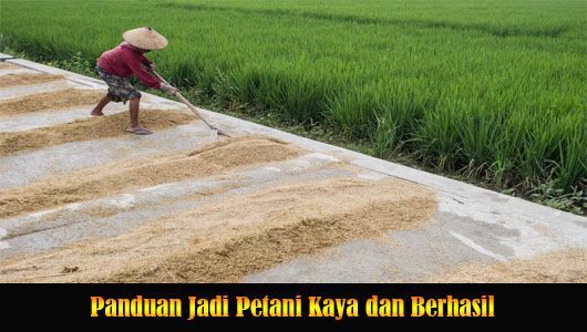 Panduan Jadi Petani Kaya dan Berhasil