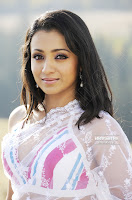 Trisha, Looking, Hot, in, Saree