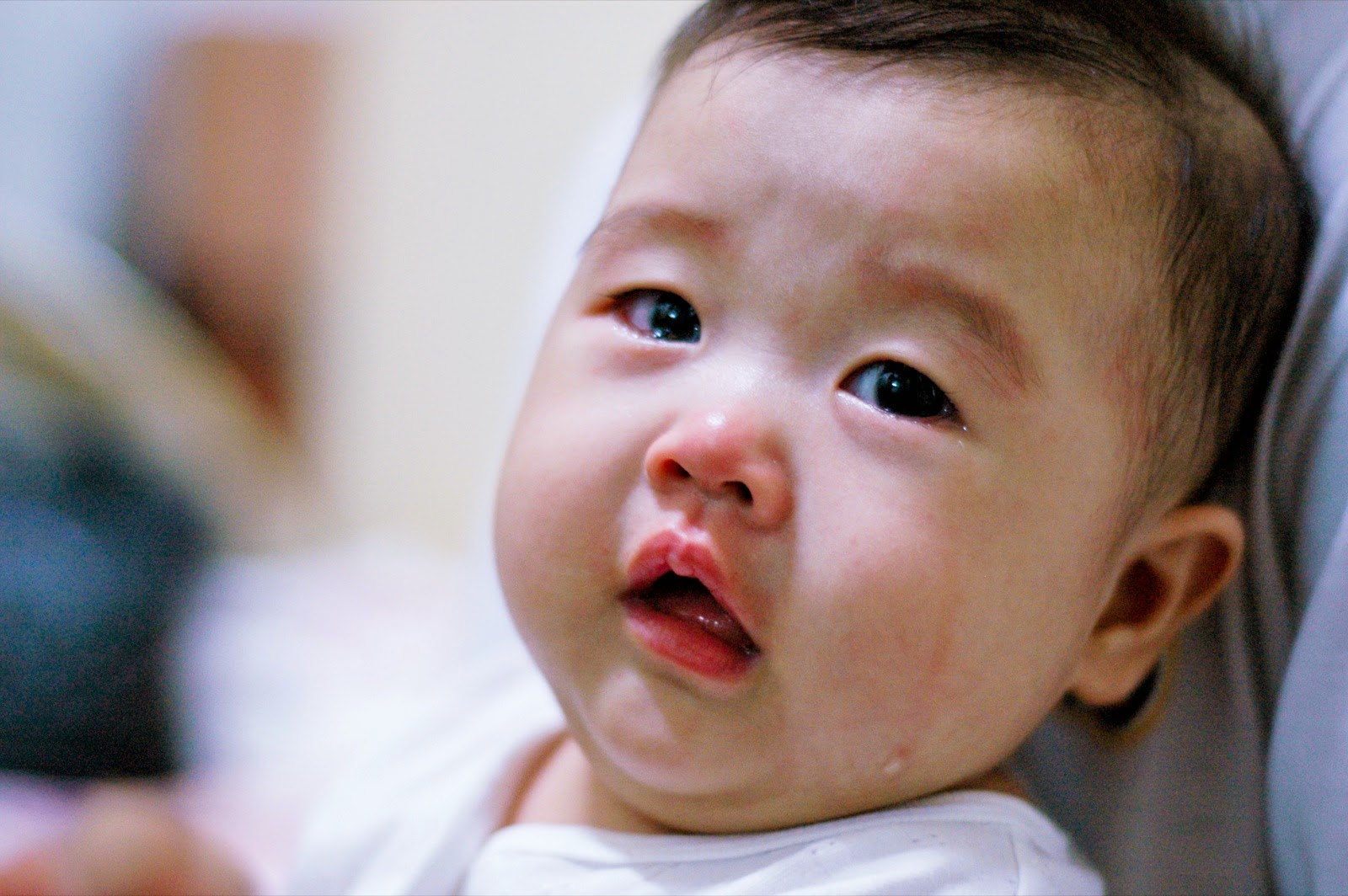 Koleksi Foto Gratis Bayi Bayi Ganteng Dan Lucu Banget Asal Cina