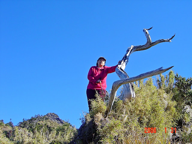 往關山嶺山