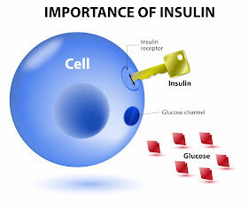 Insulin is a hormone made by the pancreas that allows our body to use sugar (glucose) from carbohydrates in the food that we eat for energy or to store glucose for future use.