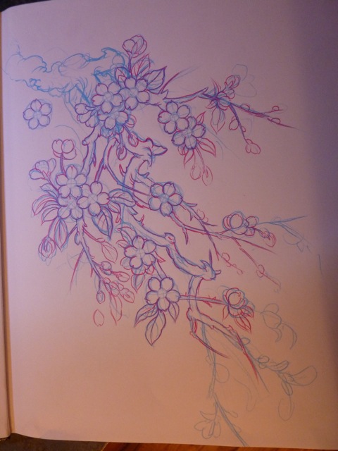 cherry blossom sketch