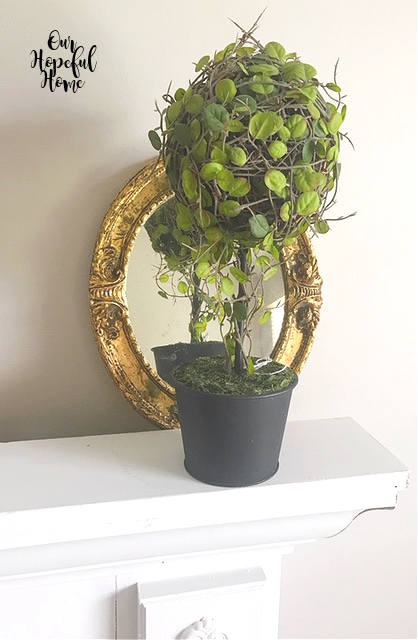 vintage gilded oval mirror mantel topiary