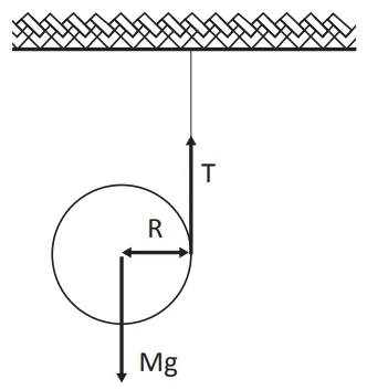 A figura a seguir representa um disco com um cordão enrolado em torno de seu centro geométrico, simulando o comportamento de um ioiô